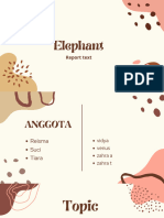 Elephant: Report Text