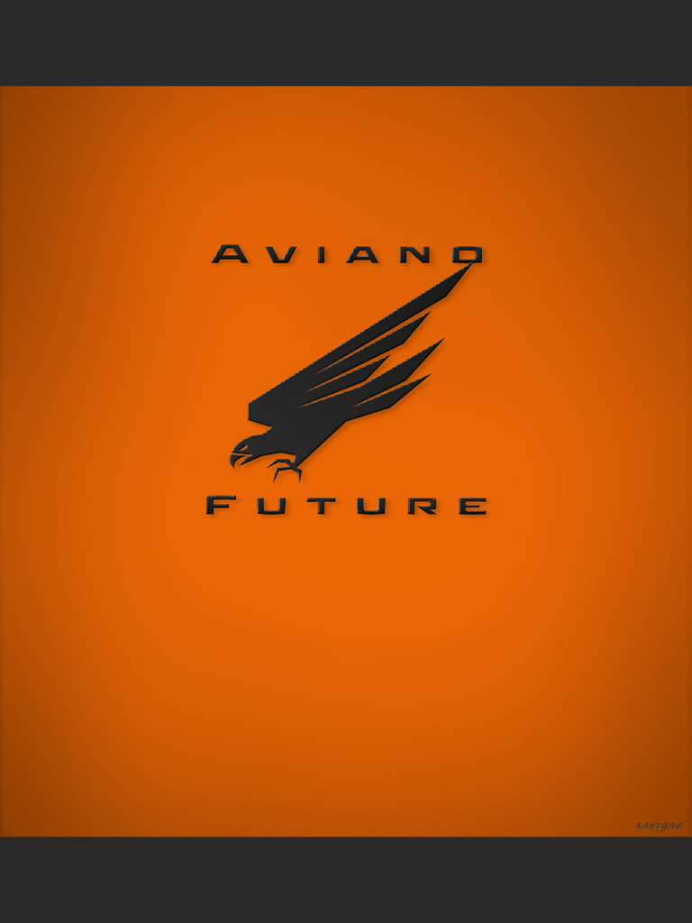 Aviano | PDF | Decorative Arts | Notation