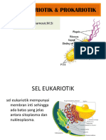 Sel Eukariotik