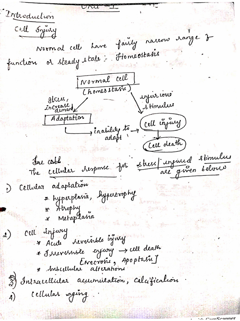 Pathology and Microbiology Notes | PDF