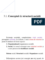 Conceptul de Structură Socială