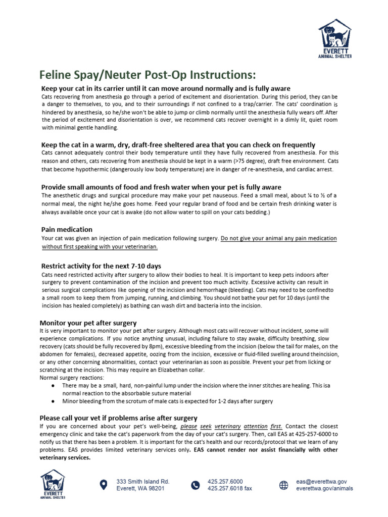 Feline Spay/Neuter Recovery Guide | PDF | Surgery | Anesthesia