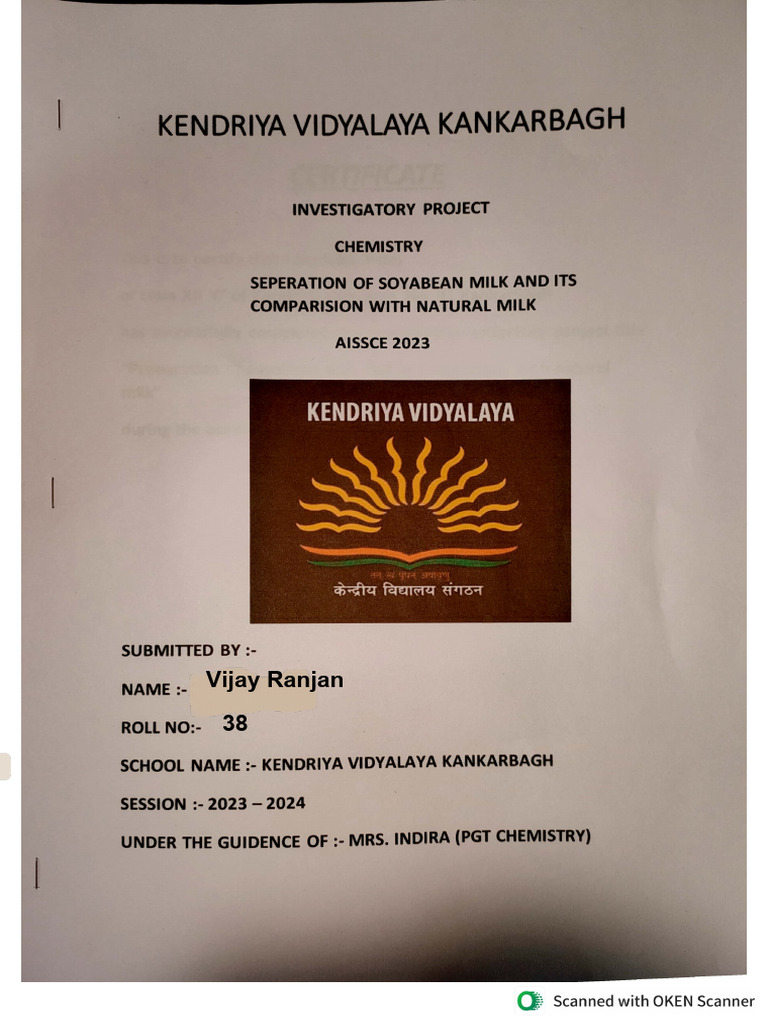 Chemistry Project For Class 12 PDF