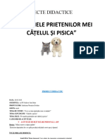 DLC Proiect Didactic