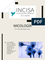 Micología