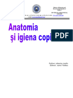 Anatomia