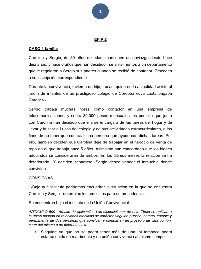 Casos Efip 2 Con Marca De Agua 2021 Pdf Divorcio Justicia