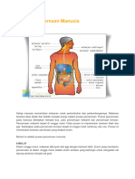 Proses Pencernaan Manusia