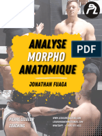 Analyse - Jonathan Fuaga