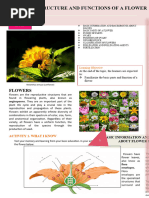 Labeled Flower Anatomy Diagram | PDF | Flowers | Plants