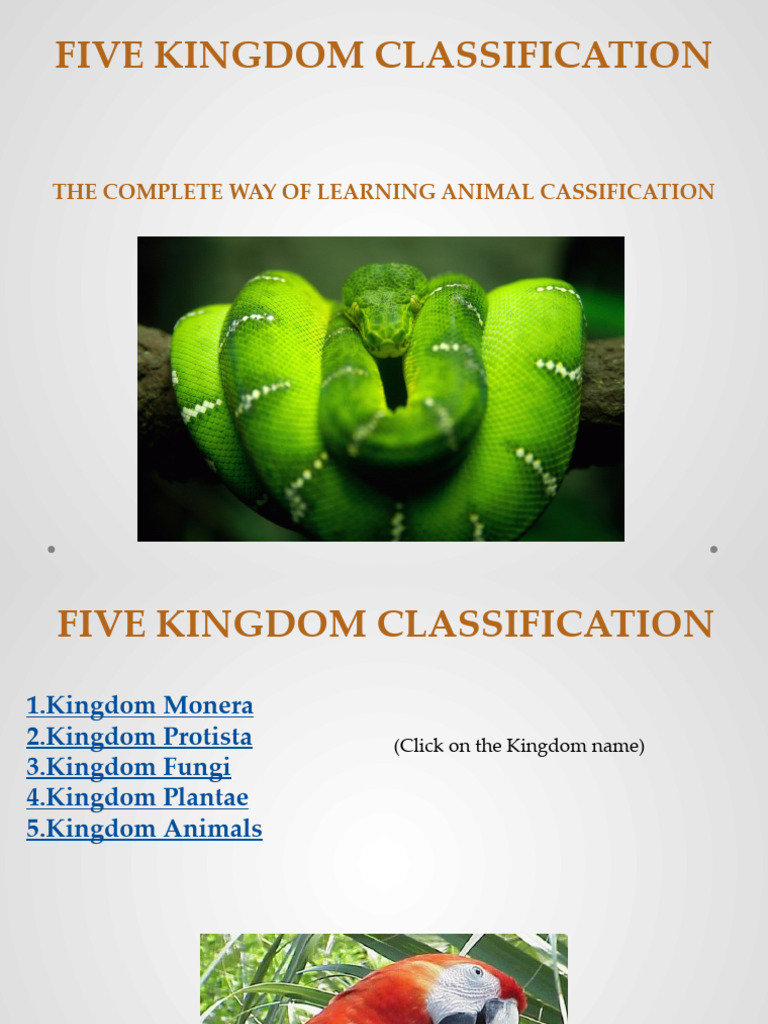 Five Kingdom Classification Guide | PDF | Plants | Moss