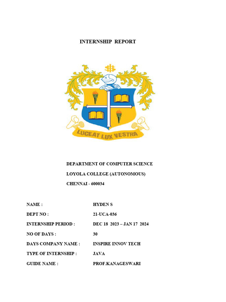 Internship Report at FabHost Solutions | PDF | Digital Marketing ...