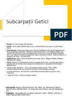 Subcarpatii Getici