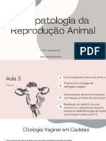 Aula 3 - 22231123 Fisiopatologia Da ReproduÃ Ã o Animal 2