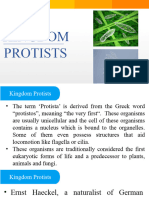 Kingdom Protist