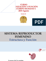 Sesion 34 - Sistema Reproductor Femenino