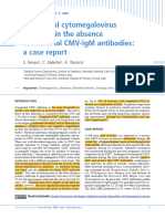 Congenital Cytomegalovirus Infection in The Absence of Maternal Cmv-Igm Antibodies: A Case Report