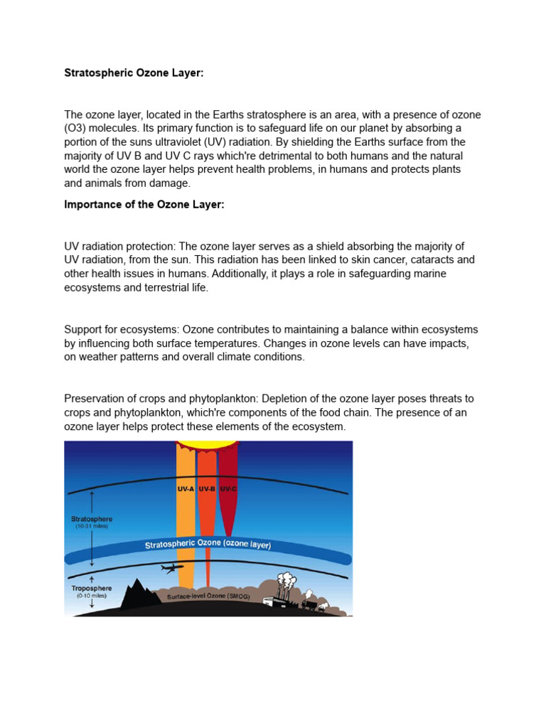 Ozone Layer Protection & Montreal Protocol | PDF
