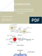 Curs 7 Particularitati Functionale Ale Musculaturii Striate