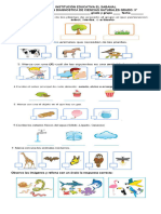 Diagnostico Naturales y Sociales 3 2024