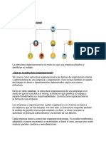 Estructura Organizacional-1