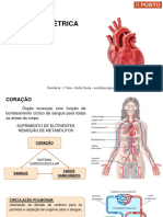 Atividade Elétrica Do Coração
