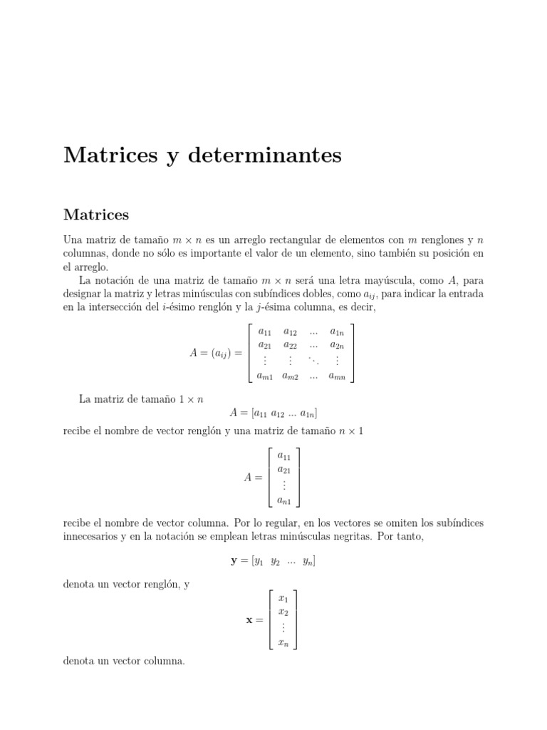 Propiedades de Matrices y Determinantes | PDF | Matriz (Matemáticas ...