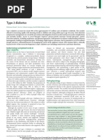 Type 2 Diabetes The Lancet 2022