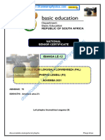 IsiZulu FAL Grade 12 NSC November 2021 P2 and Memo