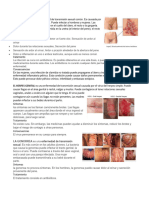 LA CLAMIDIA Es Una Enfermedad de Transmisión Sexual Común