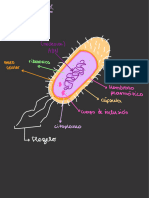 Tarea 1 Bacteriología