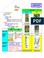 Bio V Regn Plante - Mușchi Ferigi SCHEMA LECȚIEI Clasă 2324