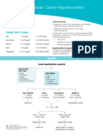 Total t4 Testing Guide Cat Unified