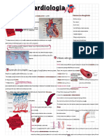 Cardiology