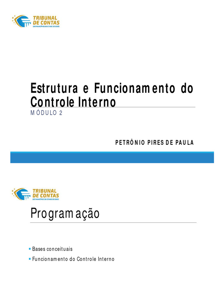 Controle Interno: Estrutura e Princípios | PDF | Contabilidade ...