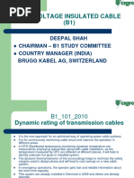 High Voltage Insulated Cable (B1)