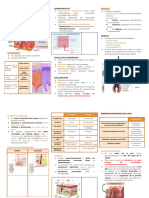 Dermatologia Resumennn