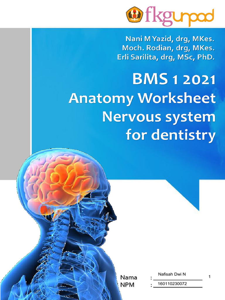 Nervous System Anatomy for Dentistry | PDF