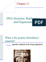 Chapter 11 - DNA-2021