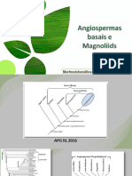 Angiospermas basais e magnoliideas (1)