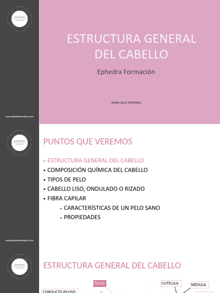 Estructura y Composición del Cabello | PDF | Pelo | Clavo (anatomía)