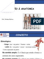 Introdução À Anatomia Humana