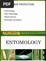 Insect Orders Classification Chart | PDF | Insects | Zoology