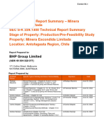 BHP Techincal Report