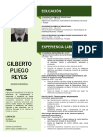 Curriculum Vitae GilbertoPliegoReyes