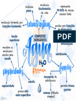 Mapa Mental - Água - Biologia