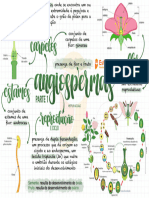 Mapa Mental - Angiospermas 1 - Biologia