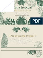 Zona Tropical
