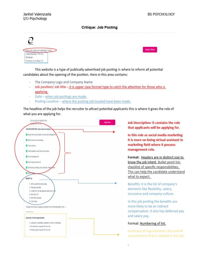 Job Critique | PDF | Industrial And Organizational Psychology | Recruitment