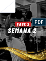 (Fase 2 Semana 2)